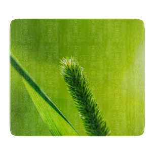 Planche À Découper Monde vert