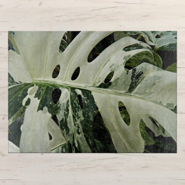 Planche À Découper Monstera variée Plante Botanique Grand (In Situ)