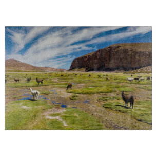 Planche À Découper Montagnes   Andes boliviennes