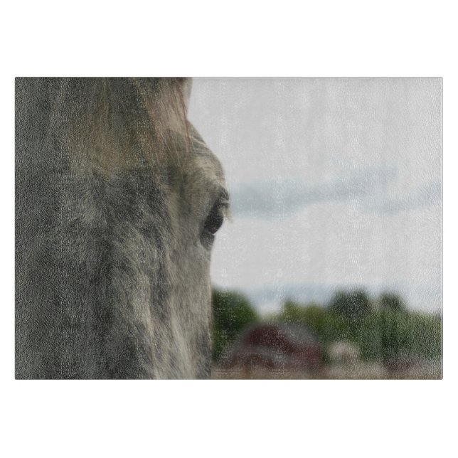 Planche À Découper Oeil D'Un Cheval Gris Dappé Animal (Devant)