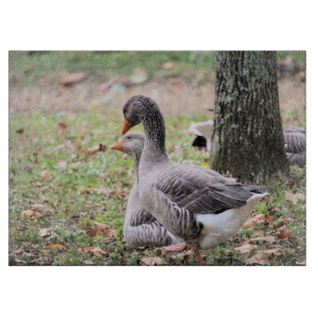 Planche À Découper Oie (Devant)