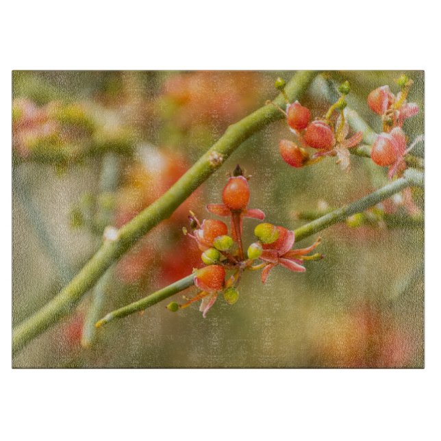 Planche À Découper Orange (Devant)