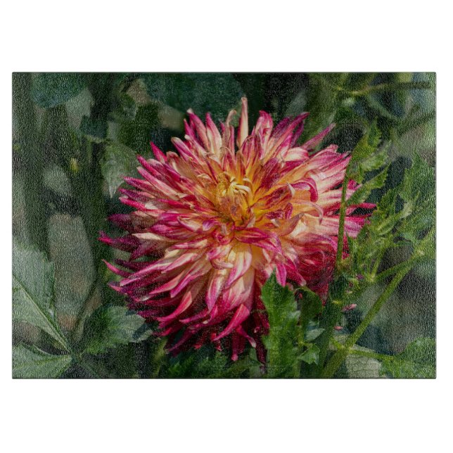 Planche À Découper Orange Chrysanthemum Photographie, Fleur canadienn (Devant)