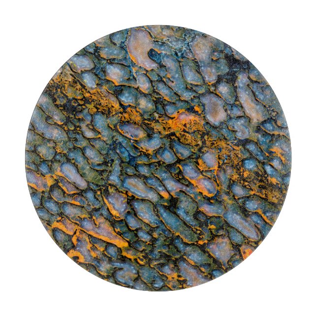 Planche À Découper Os de dinosaure pétrifié (Devant)