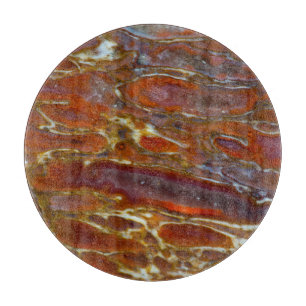 Planche À Découper Os Petrifié de Dinosaure