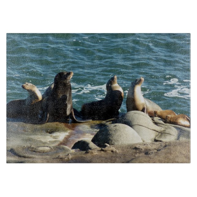 Planche À Découper Otaries de San Diego (Devant)
