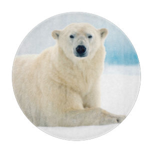 Planche À Découper Ours polaire adulte grand verrat sur la glace d'ét