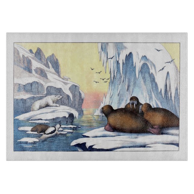 Planche À Découper Ours Polaires, Walrus Et Phoques (Devant)