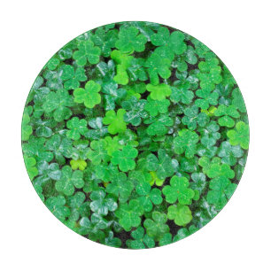 Planche À Découper Oxalis des bois au printemps