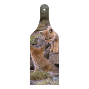 Planche À Découper paire de Fox gris sud-américain (Lycalopex griseus