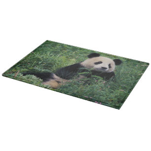 Planche À Découper Panda géant dans l'herbe, vallée de Wolong, Sichua