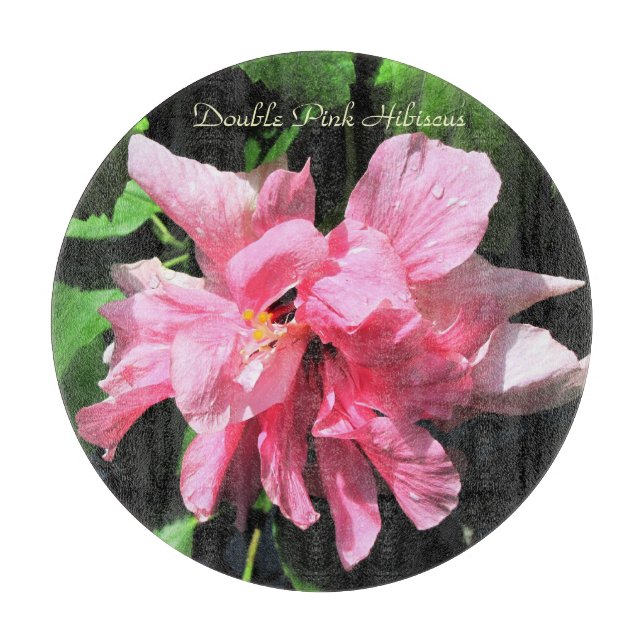 Planche À Découper Panneau de coupe en verre rond personnalisé/Trivet (Devant)