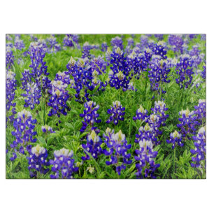 Planche À Découper Panneau de découpe en verre bleu du Texas