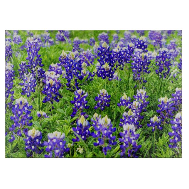 Planche À Découper Panneau de découpe en verre bleu du Texas (Devant)