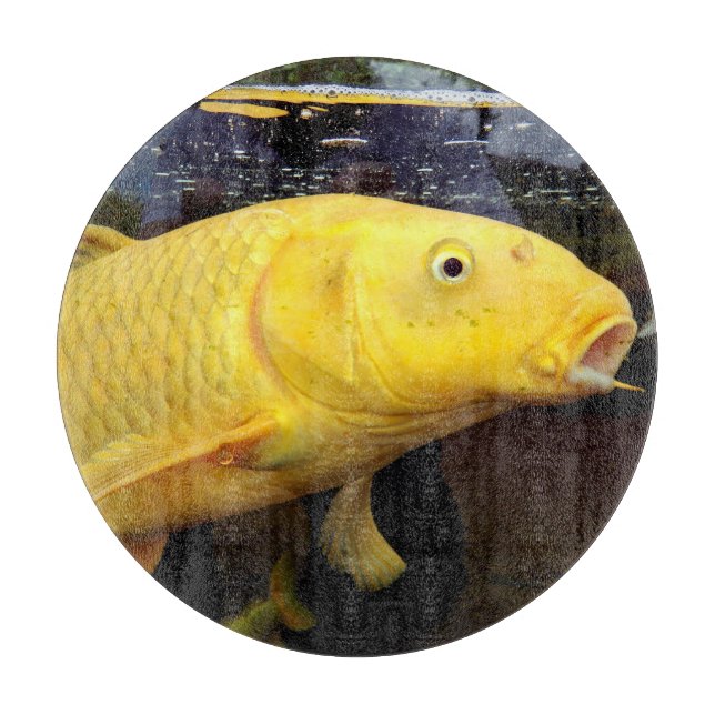 Planche À Découper Panneau de découpe en verre Koi Carp (Devant)