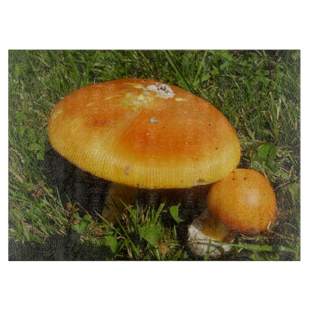 Planche À Découper Panneaux de verre de champignons Amanita Caesarea (Devant)