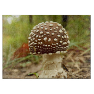 Planche À Découper Panther Casquette de champignon de verre