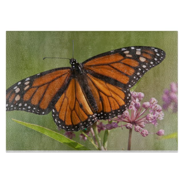 Planche À Découper Papillon monarque mâle sur asclépiade incarnate (Devant)