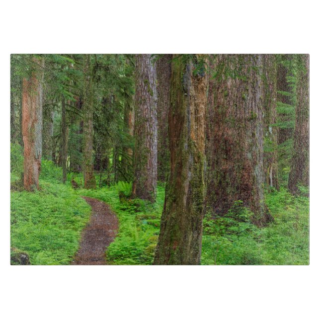 Planche À Découper Paysage de forêt ancienne (Devant)