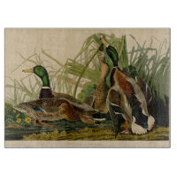 Peinture d'oiseaux de Mallard Duck Audubon