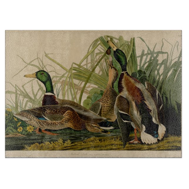 Planche À Découper Peinture d'oiseaux de Mallard Duck Audubon (Devant)