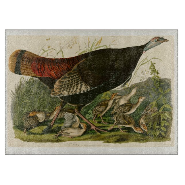 Planche À Découper Peinture d'oiseaux sauvages de Turquie Audubon (Devant)