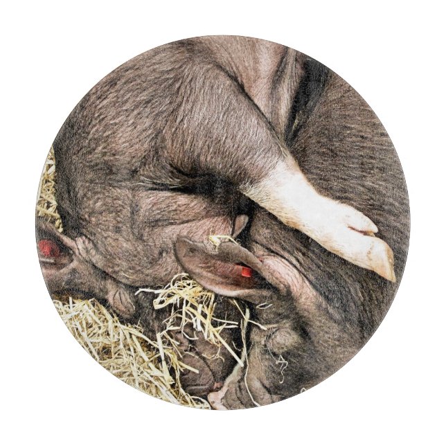 PLANCHE À DÉCOUPER PETITS PIÈCES FRAÎCHES (Devant)