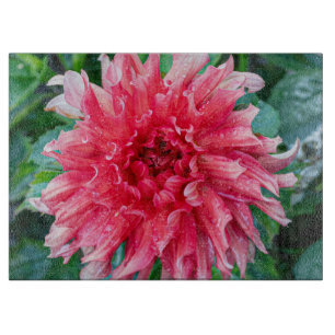 Planche À Découper Photographie Dahlia Rose, Fleur Canadienne