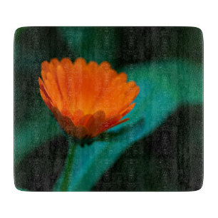 Planche À Découper Photographie de fleur de marguerite orange