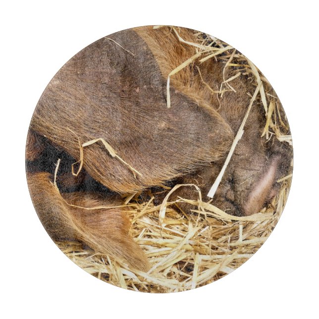 PLANCHE À DÉCOUPER PIÈCES (Devant)