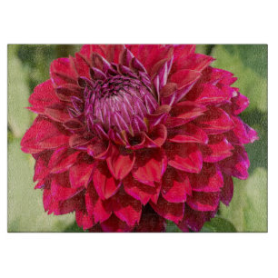 Planche À Découper Pink Dahlia, Belle Photographie Fleur