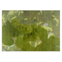 Plateau de coupe de verre, vignoble, fourrage, ver