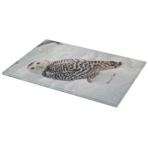 Planche À Découper Plateau de coupe en verre de Snowy Owl
