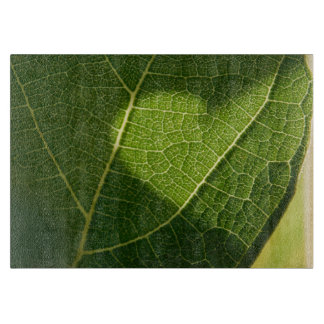 Planche À Découper Plateau en verre Cœur sur une feuille ensoleillée