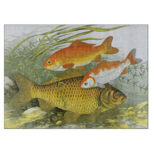 Planche À Découper Poisson rouge Carpe Koï, Poisson Marin Aquatique V