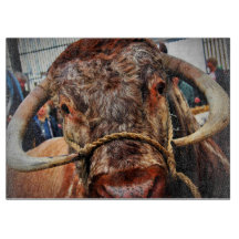 Poster anglais Long Horn Cow Cattle