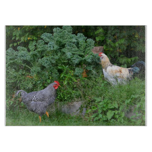 Planche À Découper Poulet Dans Le Jardin