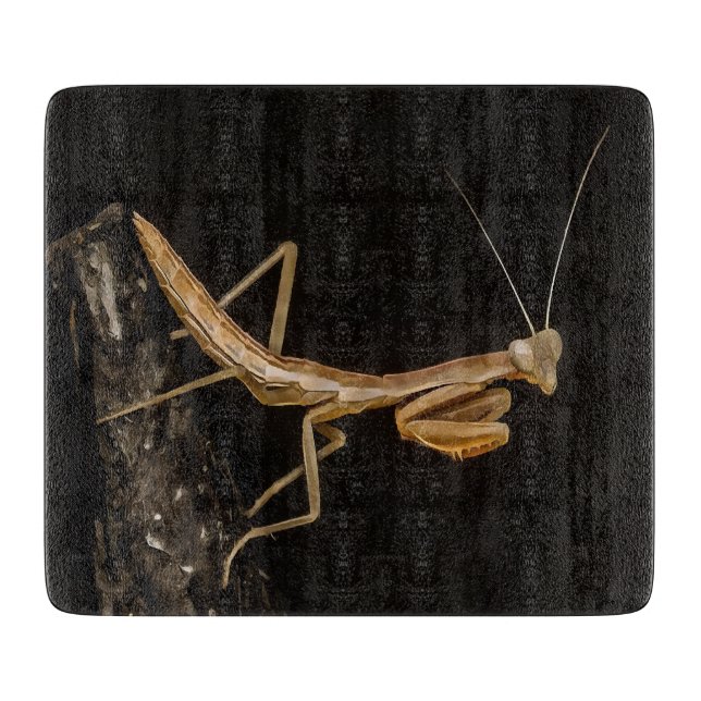 Planche À Découper Prière Mantis Belle Et Déplaisante Insecte Art (Devant)