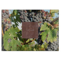 Raisins de vigne sur vigne