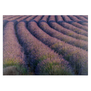 Planche À Découper Rangées de lavande en Provence