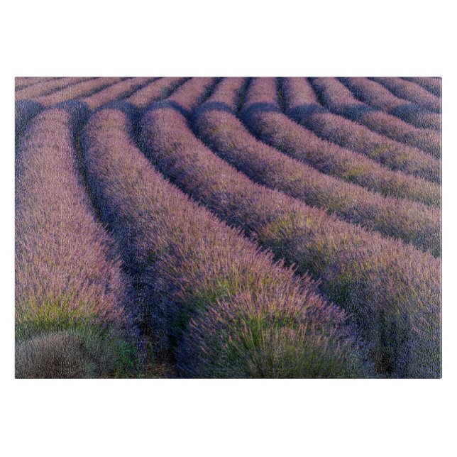 Planche À Découper Rangées de lavande en Provence (Devant)