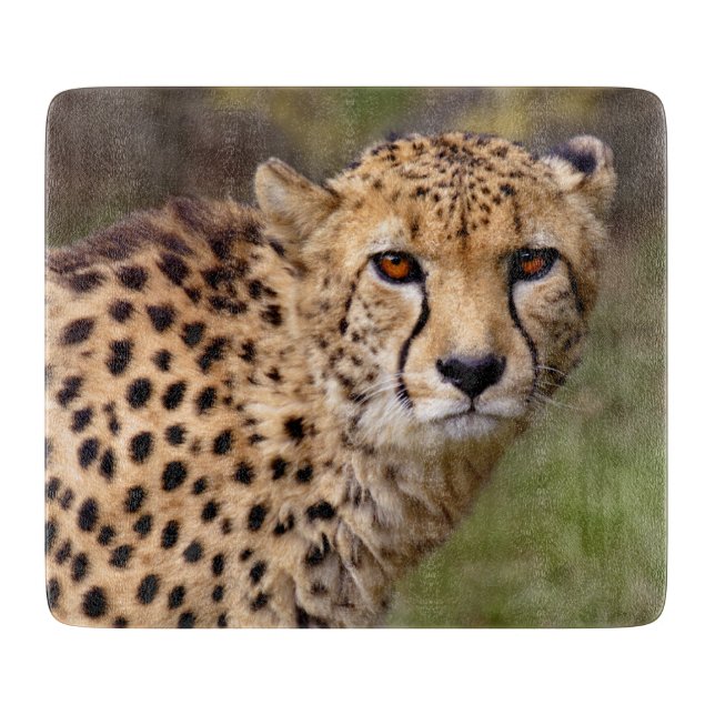 Planche à découper rectangulaire Guépard (Devant)