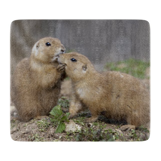 Planche à découper rectangulaire Kiss me Quick (Devant)