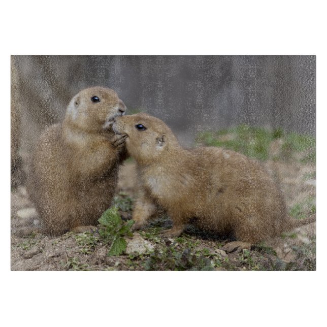 Planche à découper rectangulaire Kiss me Quick (Devant)