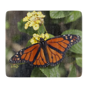 Planche à découper rectangulaire Monarch