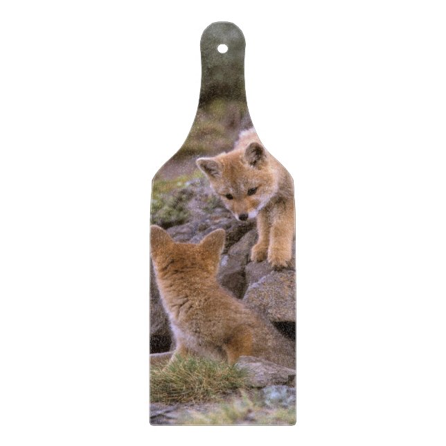 Planche À Découper Renard gris d'Amérique du Sud (Lycalopex griseus)  (Devant)