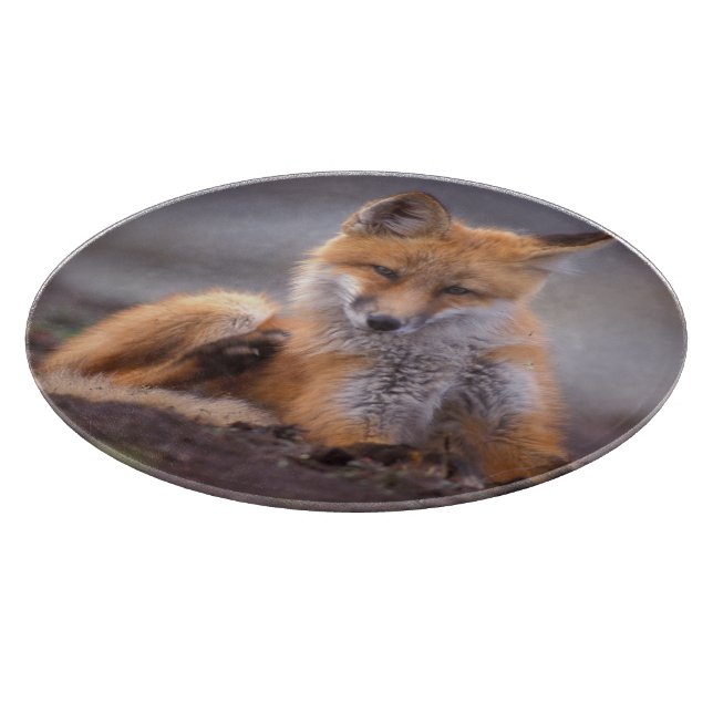 Planche À Découper renard roux, Vulpes vulpes, petit se grattant, (Coin)