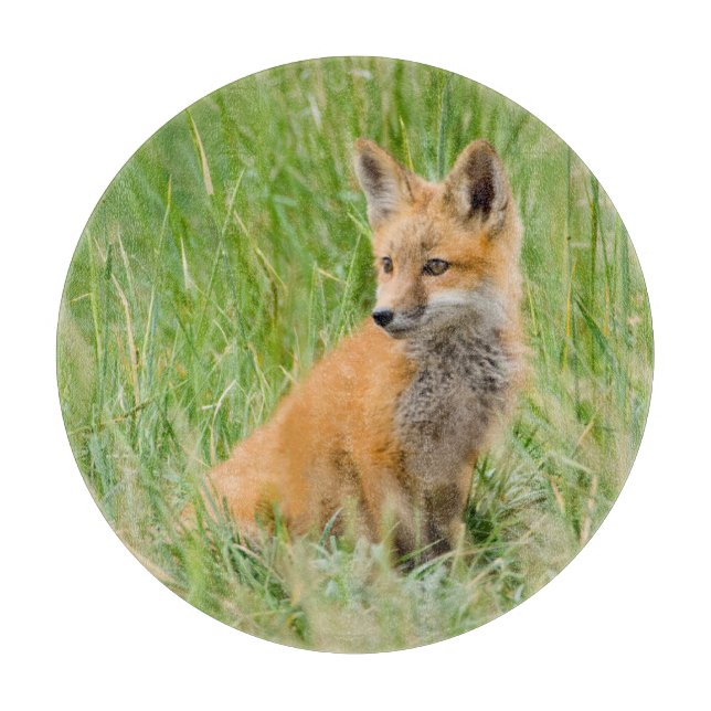 Planche À Découper Renardeau roux dans l'herbe près de terrier (Devant)