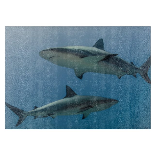 Planche À Découper Requin de récif des Caraïbes (Devant)