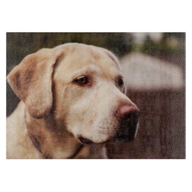 Planche À Découper Retriever du Labrador (Devant)